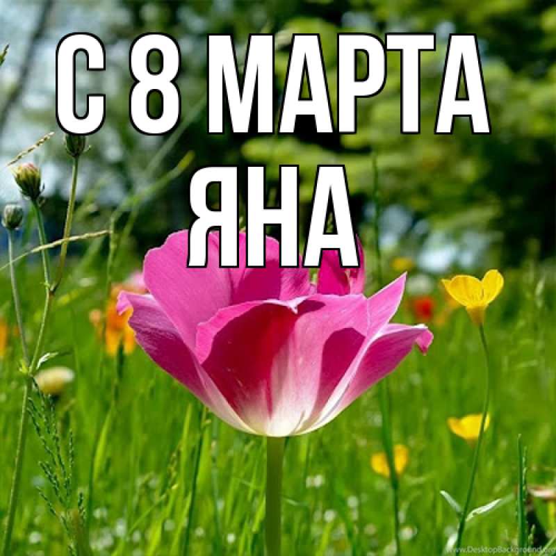 Картинка C 8 МАРТА, Яна