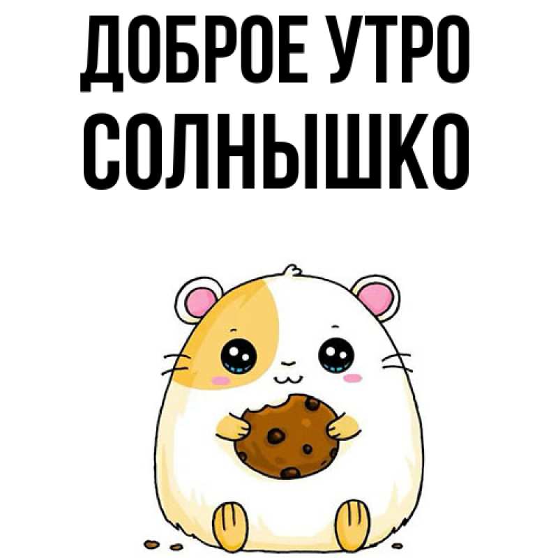 Картинка Доброе утро, Солнышко