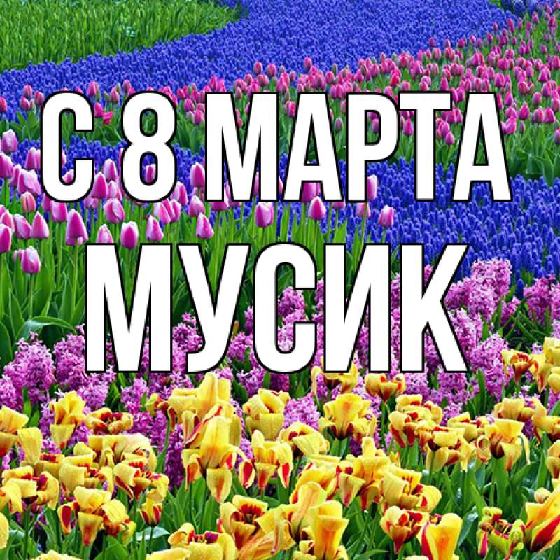 Картинка C 8 МАРТА, мусик