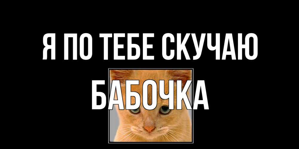 Открытка на каждый день с именем, Бабочка Я по тебе скучаю открытки рыжий котенок скучает по тебе Прикольная открытка с пожеланием онлайн скачать бесплатно 
