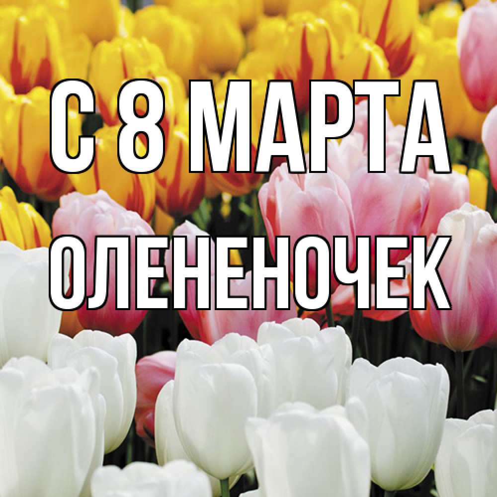 Открытка на каждый день с именем, Олененочек C 8 МАРТА разноцветные цветы Прикольная открытка с пожеланием онлайн скачать бесплатно 