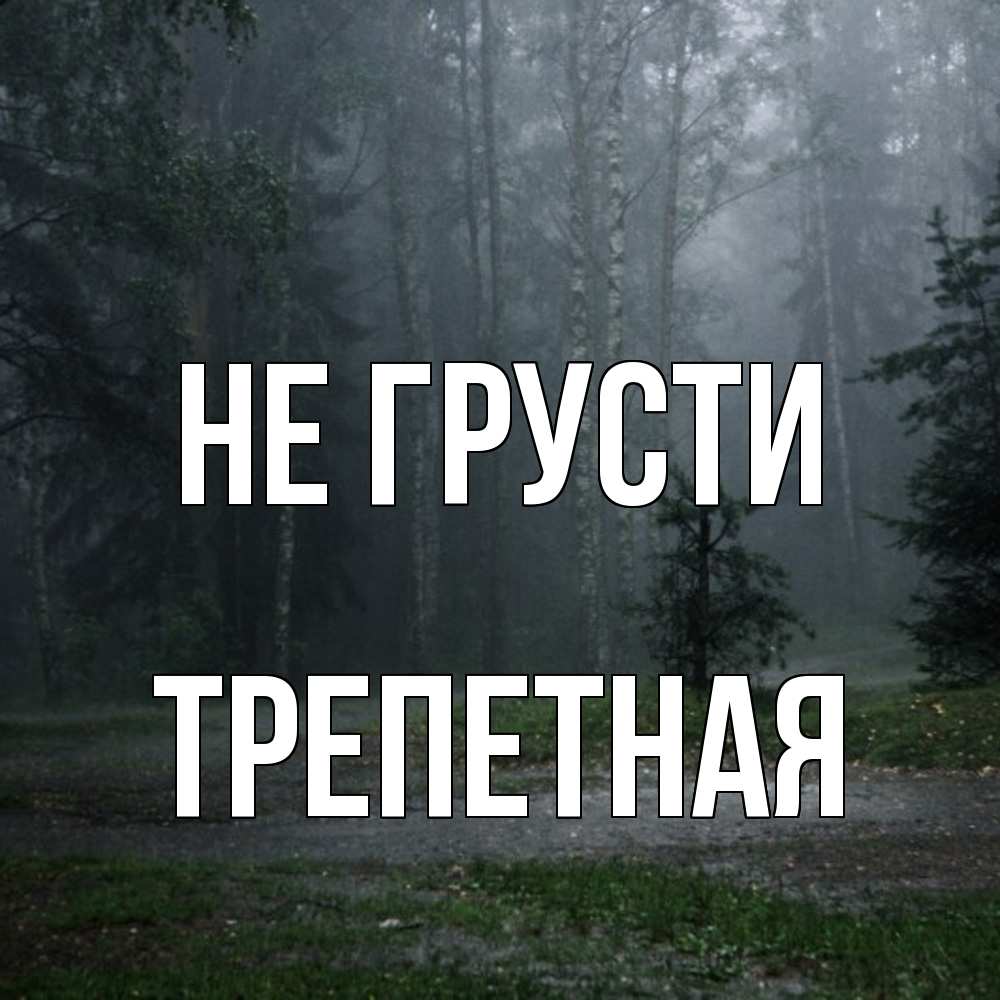 Открытка на каждый день с именем, Тpепетная Не грусти осень Прикольная открытка с пожеланием онлайн скачать бесплатно 