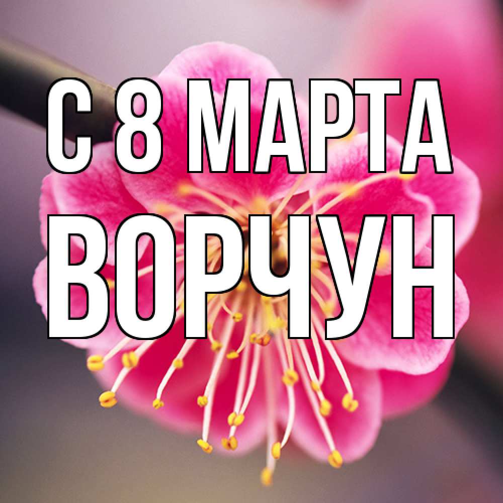 Открытка на каждый день с именем, Ворчун C 8 МАРТА цветы Прикольная открытка с пожеланием онлайн скачать бесплатно 