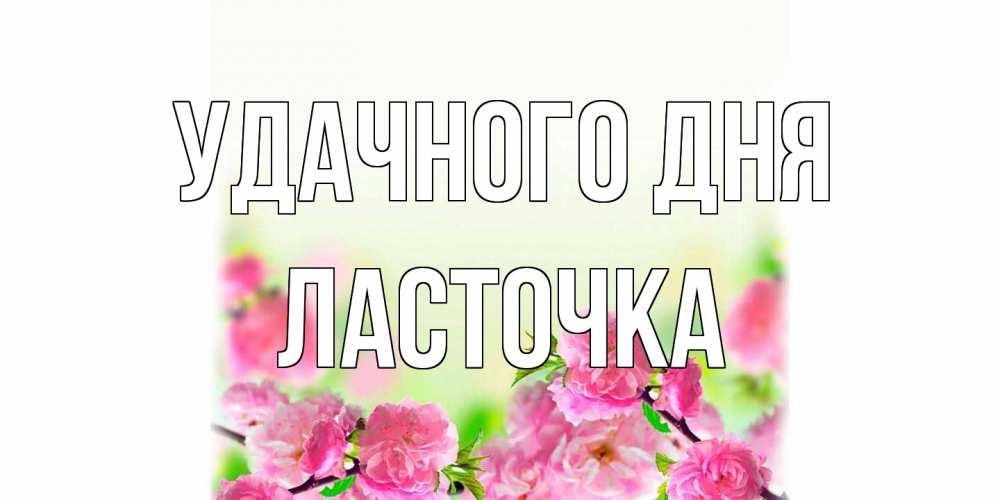 Открытка на каждый день с именем, Ласточка Удачного дня цветы Прикольная открытка с пожеланием онлайн скачать бесплатно 