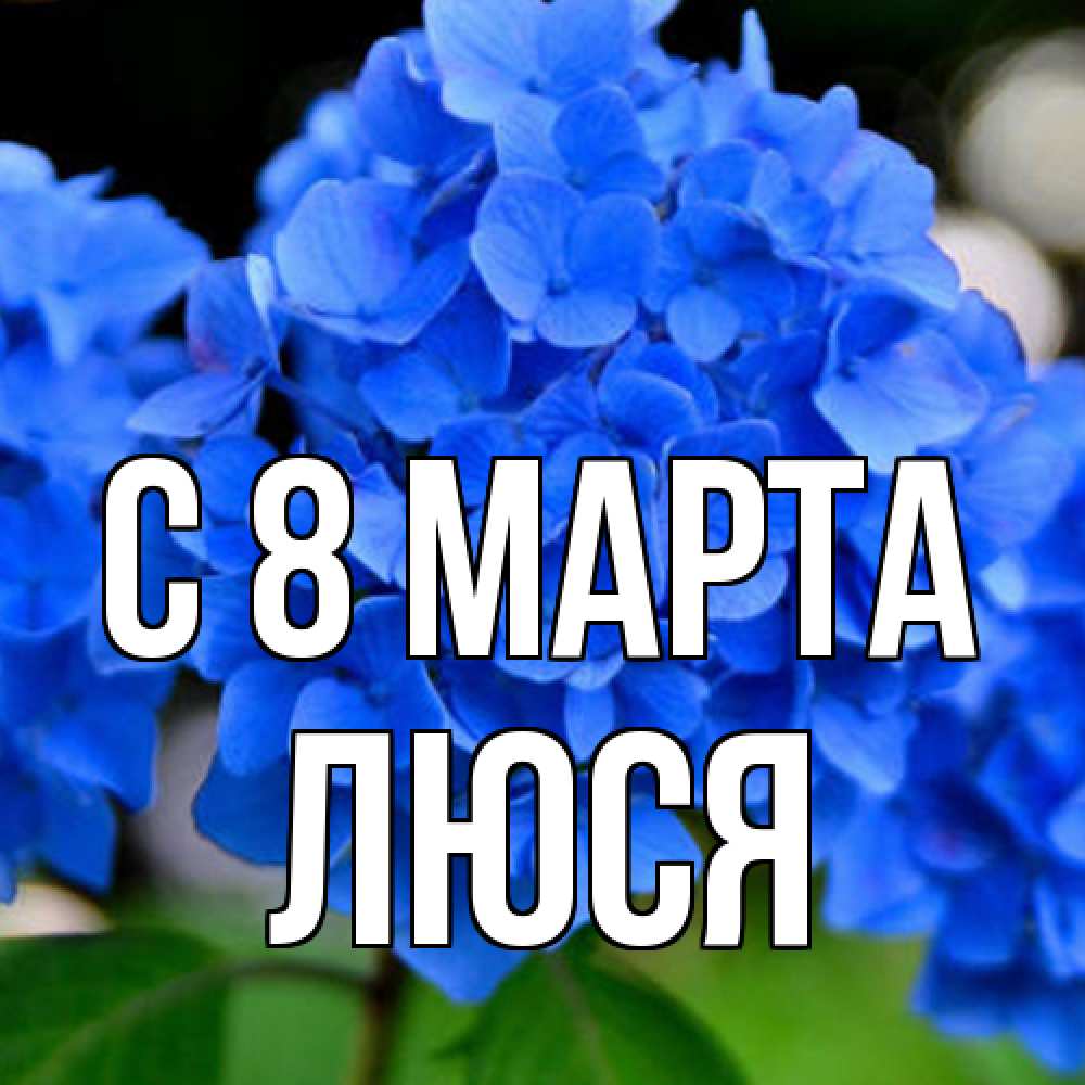 Открытка на каждый день с именем, Люся C 8 МАРТА синие цветы Прикольная открытка с пожеланием онлайн скачать бесплатно 