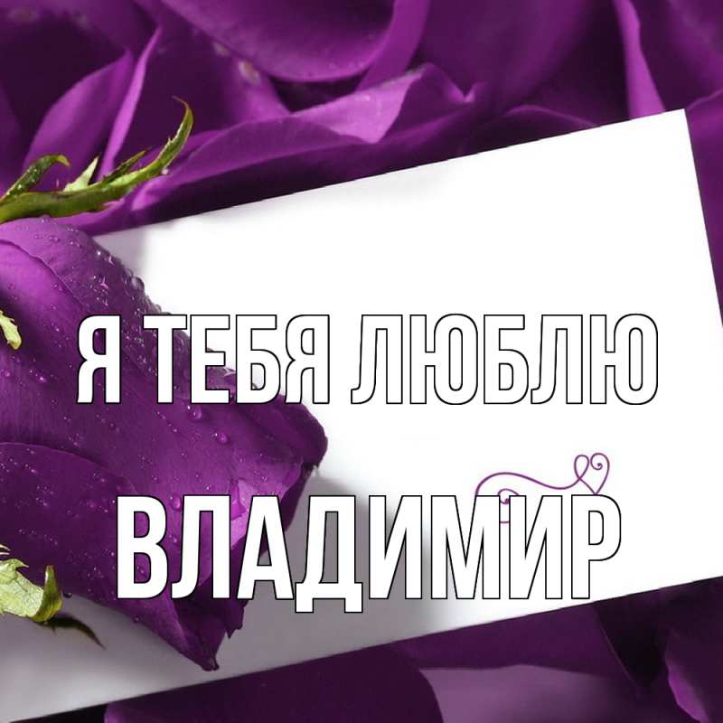 Картинка Я тебя люблю, Владимир