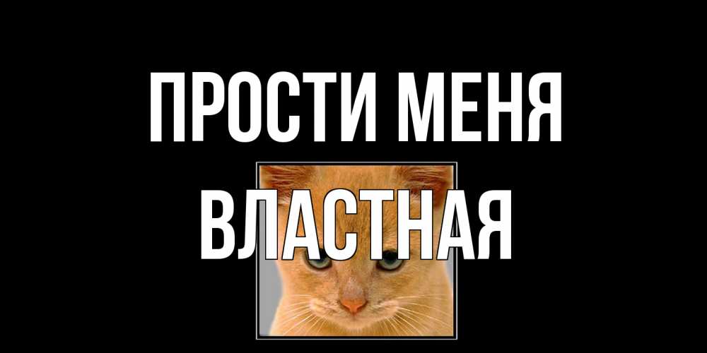 Открытка на каждый день с именем, властная Прости меня рыжий грустный кот просит прощения Прикольная открытка с пожеланием онлайн скачать бесплатно 