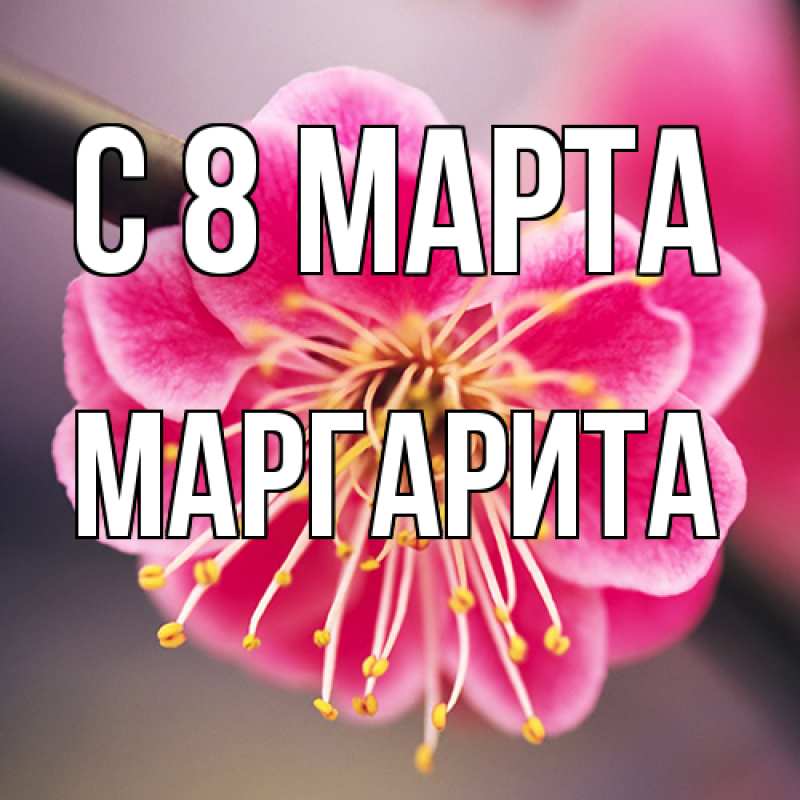 Картинка C 8 МАРТА, Маргарита