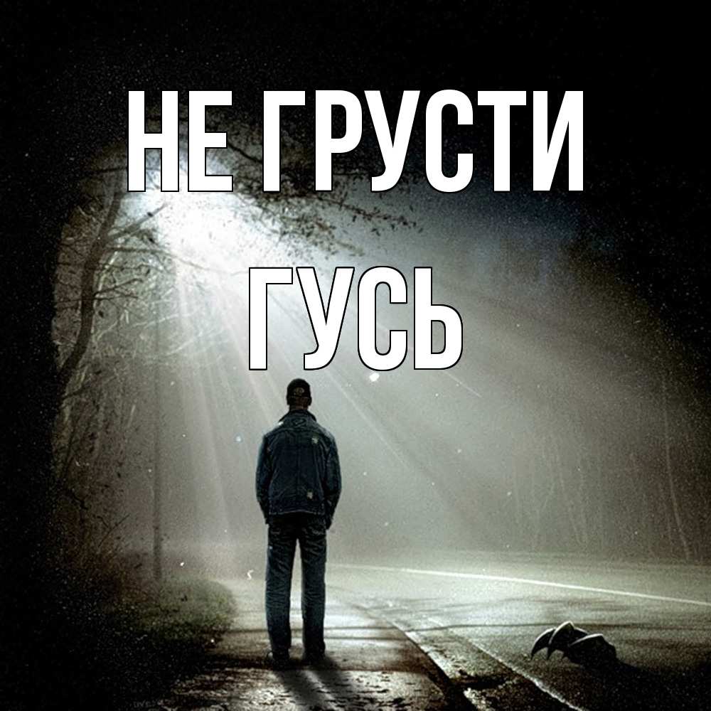 Открытка на каждый день с именем, Гусь Не грусти свет с неба в лесу Прикольная открытка с пожеланием онлайн скачать бесплатно 