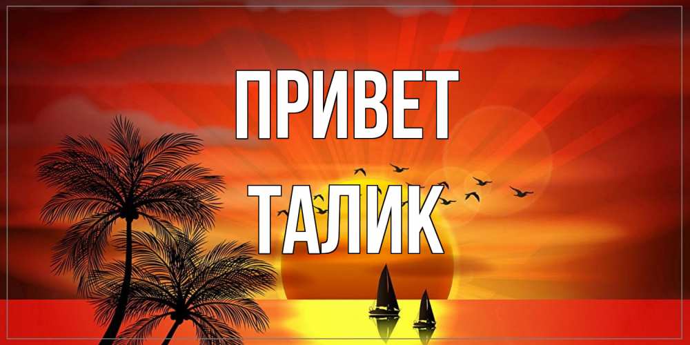 Открытка на каждый день с именем, Талик Привет привет Прикольная открытка с пожеланием онлайн скачать бесплатно 