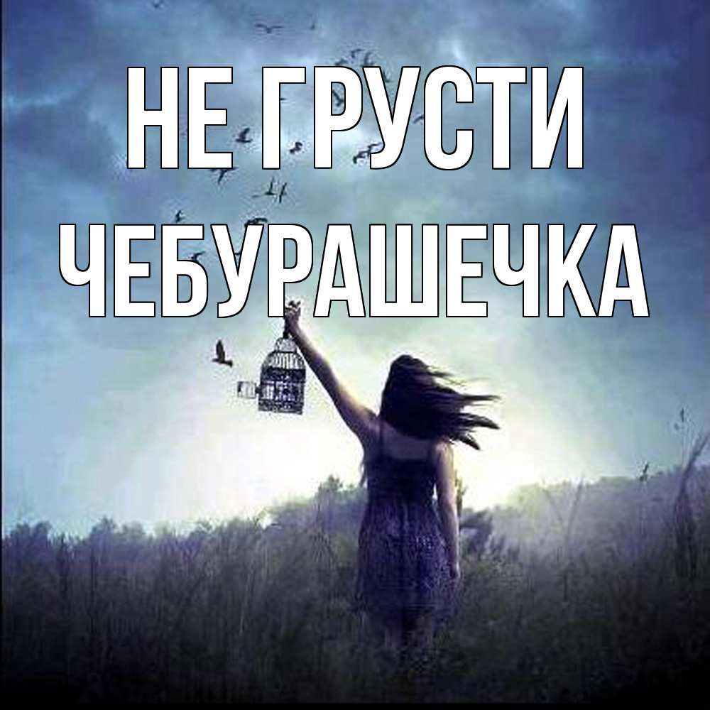 Открытка на каждый день с именем, Чебурашечка Не грусти на волю Прикольная открытка с пожеланием онлайн скачать бесплатно 