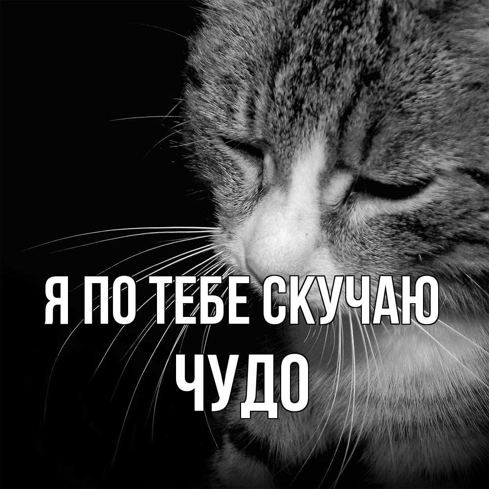 Открытка на каждый день с именем, Чудо Я по тебе скучаю мне скучно Прикольная открытка с пожеланием онлайн скачать бесплатно 
