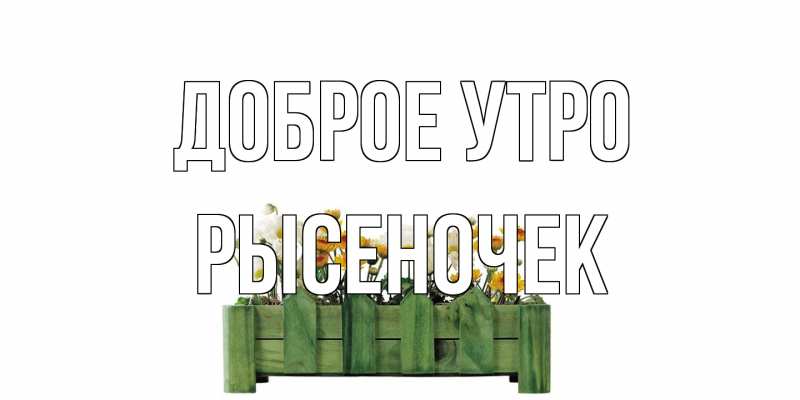 Картинка Доброе утро, Рысеночек