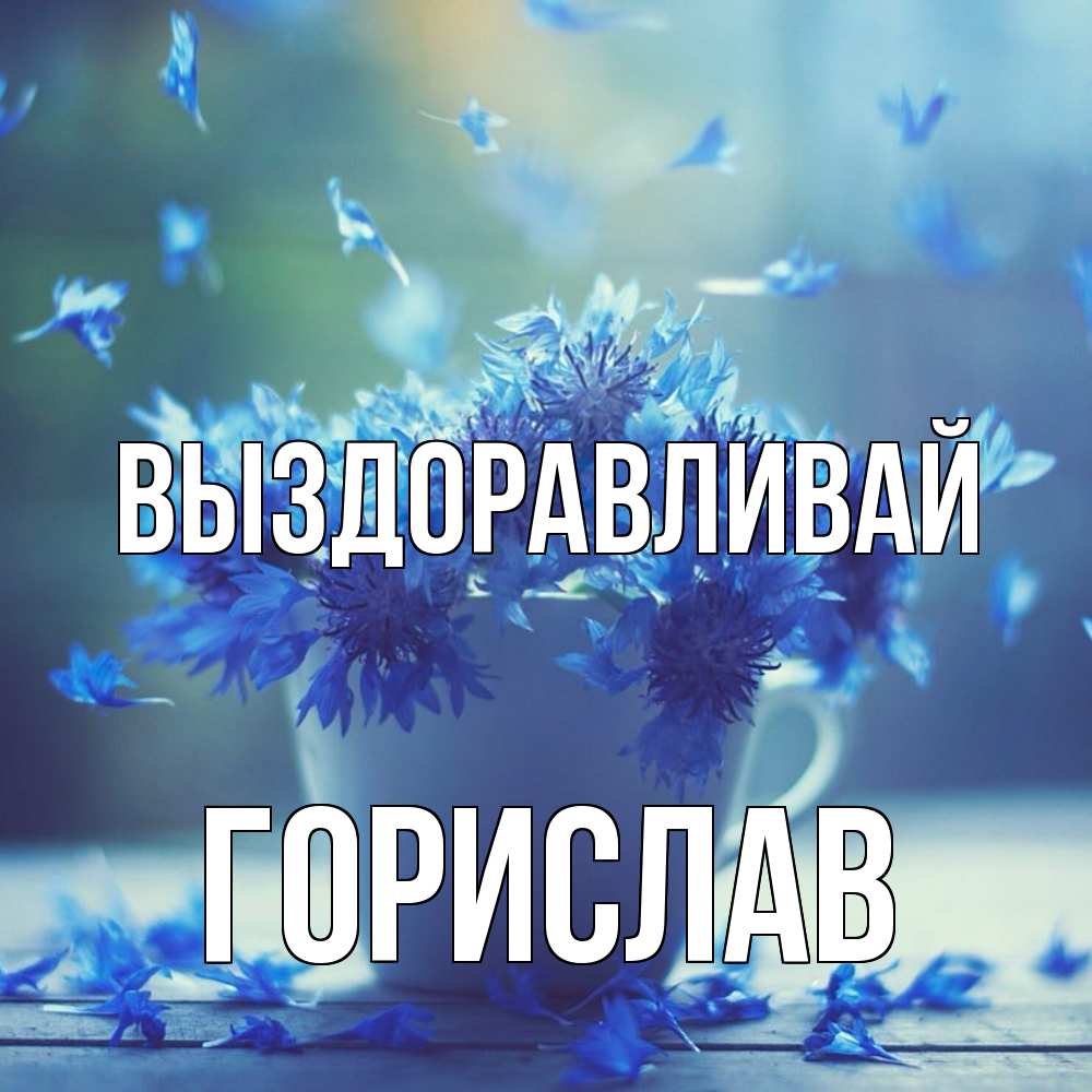Открытка на каждый день с именем, Горислав Выздоравливай кружка с зельем и цветами Прикольная открытка с пожеланием онлайн скачать бесплатно 