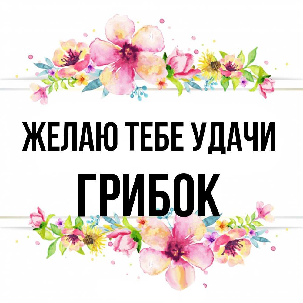 Открытка на каждый день с именем, Грибок Желаю тебе удачи пусть повезет 1 Прикольная открытка с пожеланием онлайн скачать бесплатно 