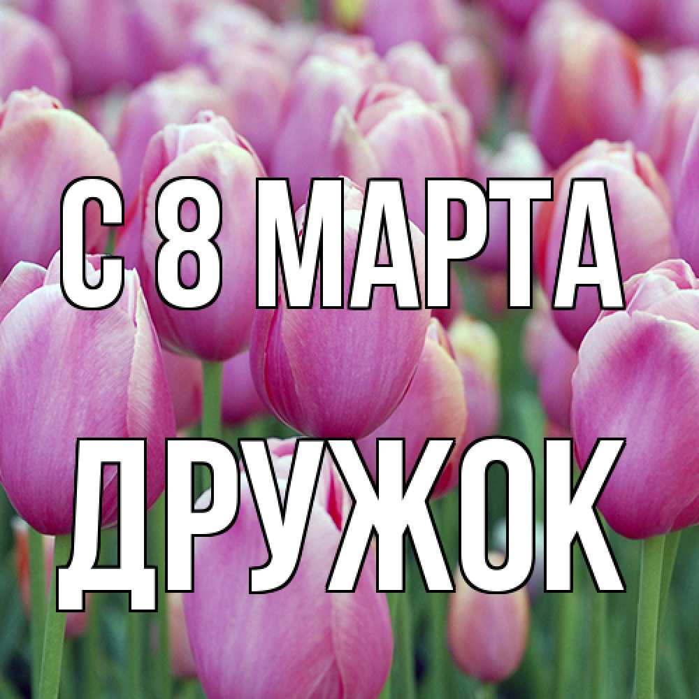 Открытка на каждый день с именем, Дружок C 8 МАРТА на международный женский день 3 Прикольная открытка с пожеланием онлайн скачать бесплатно 