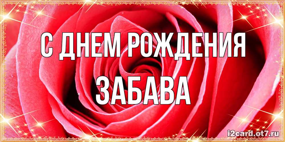 Открытка на каждый день с именем, Забава С днем рождения розовая роза очень крупный бутон Прикольная открытка с пожеланием онлайн скачать бесплатно 