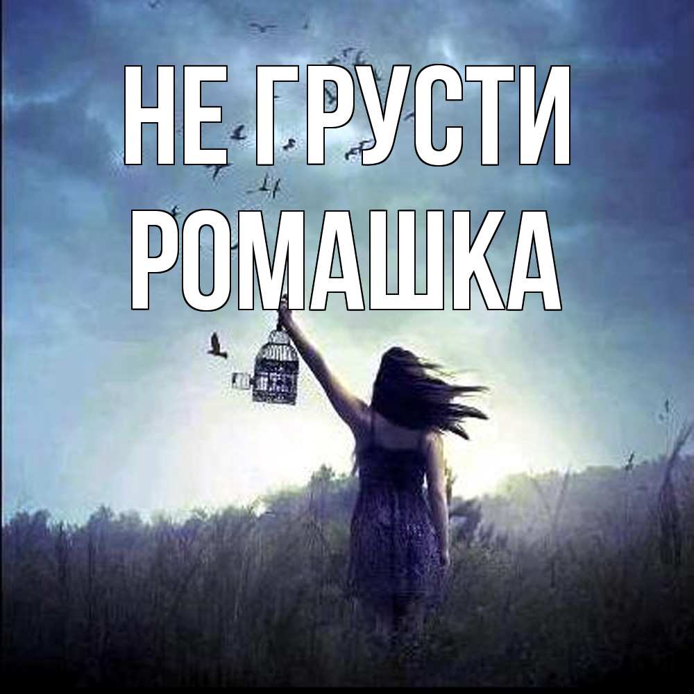 Открытка на каждый день с именем, Ромашка Не грусти на волю Прикольная открытка с пожеланием онлайн скачать бесплатно 