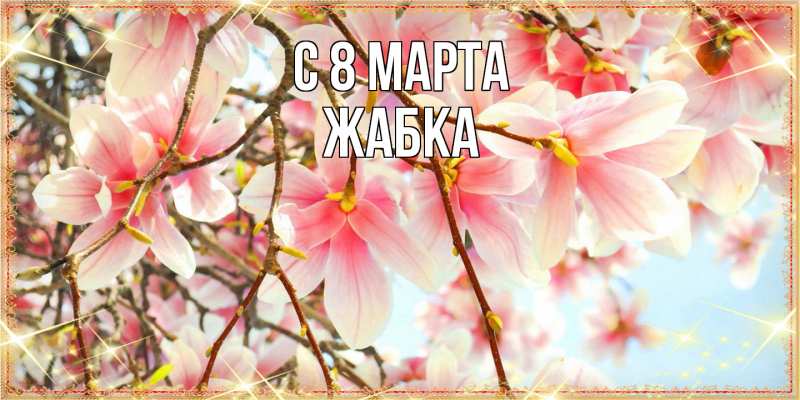 Картинка C 8 МАРТА, Жабка