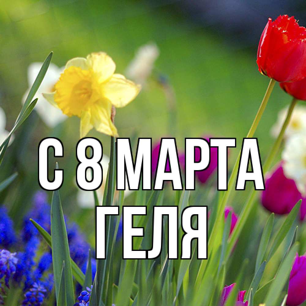 Открытка на каждый день с именем, Геля C 8 МАРТА международный женский день 3 Прикольная открытка с пожеланием онлайн скачать бесплатно 