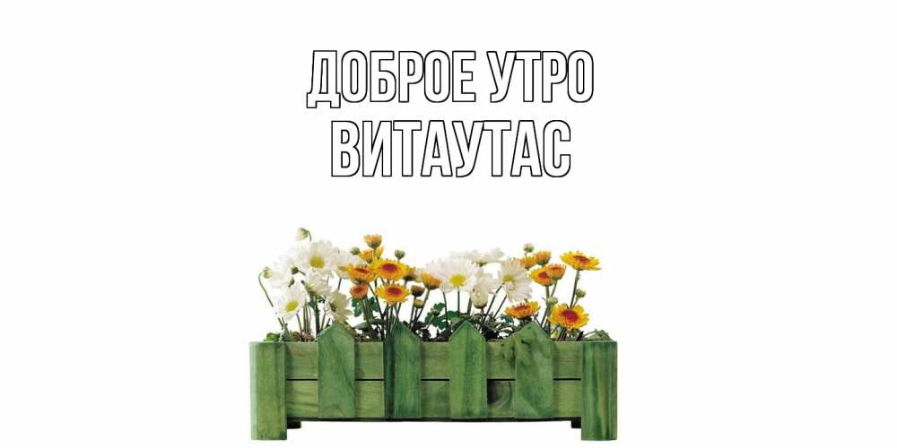 Открытка на каждый день с именем, Витаутас Доброе утро цветы Прикольная открытка с пожеланием онлайн скачать бесплатно 