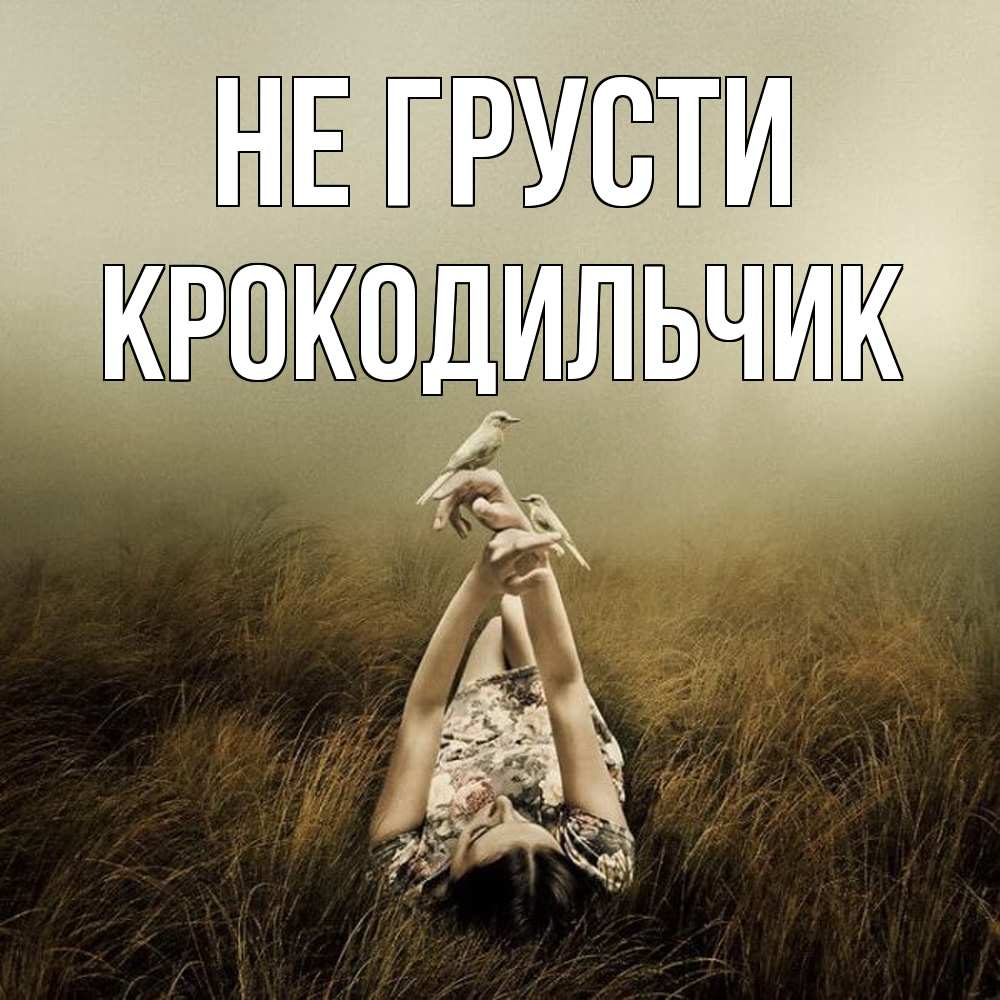 Открытка на каждый день с именем, Крокодильчик Не грусти поле и туман Прикольная открытка с пожеланием онлайн скачать бесплатно 