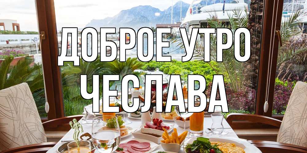 Открытка на каждый день с именем, Чеслава Доброе утро тропическое утро Прикольная открытка с пожеланием онлайн скачать бесплатно 