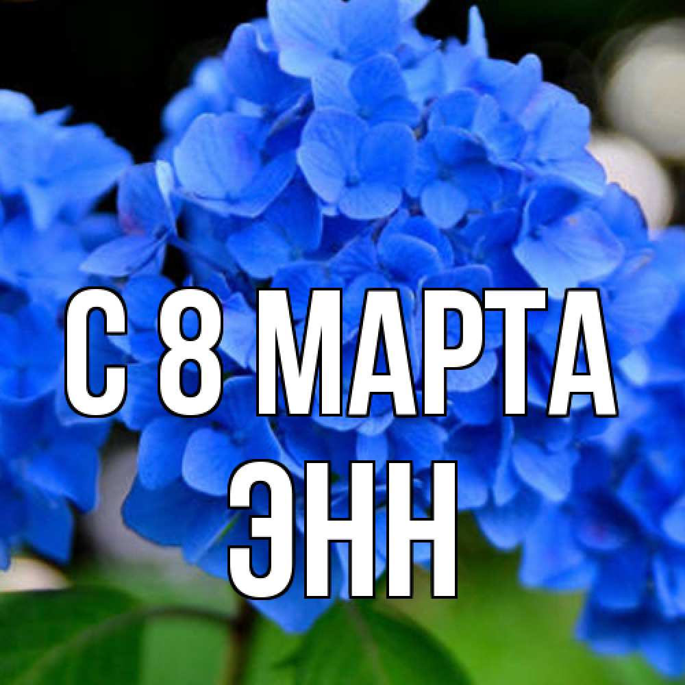 Открытка на каждый день с именем, Энн C 8 МАРТА синие цветы Прикольная открытка с пожеланием онлайн скачать бесплатно 