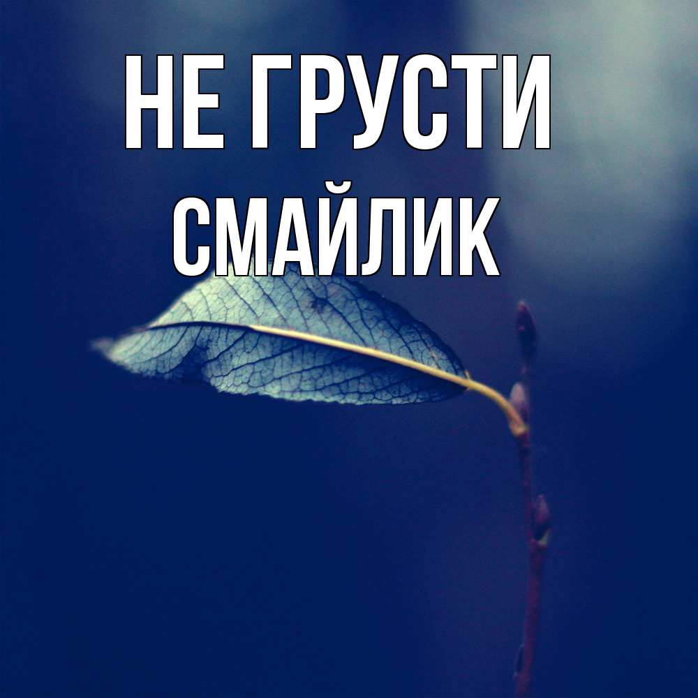 Открытка на каждый день с именем, Смайлик Не грусти растение Прикольная открытка с пожеланием онлайн скачать бесплатно 