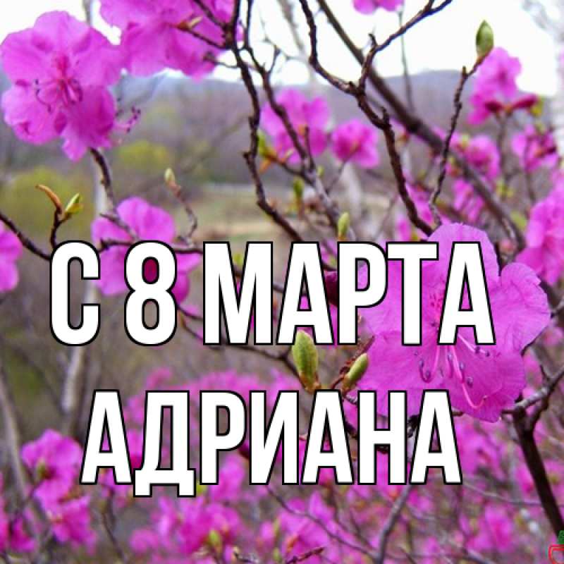 Картинка C 8 МАРТА, Адриана