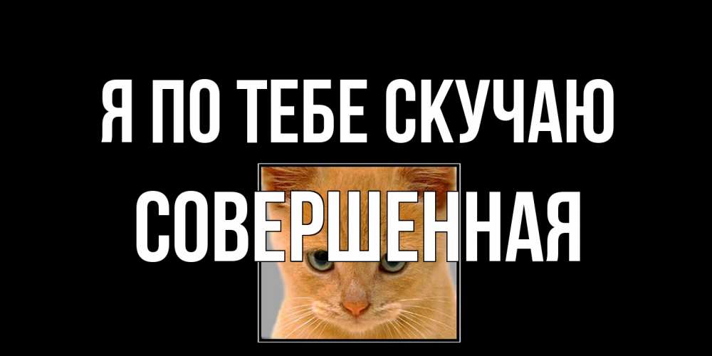 Открытка на каждый день с именем, Совершенная Я по тебе скучаю открытки рыжий котенок скучает по тебе Прикольная открытка с пожеланием онлайн скачать бесплатно 