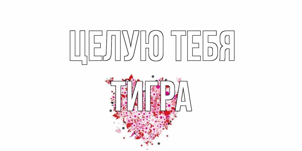Открытка на каждый день с именем, Тигра Целую тебя сердце Прикольная открытка с пожеланием онлайн скачать бесплатно 