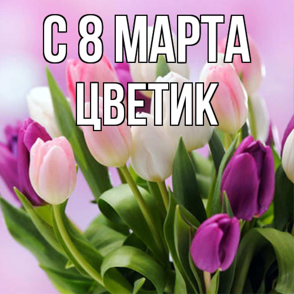 Открытка на каждый день с именем, цветик C 8 МАРТА весна март Прикольная открытка с пожеланием онлайн скачать бесплатно 