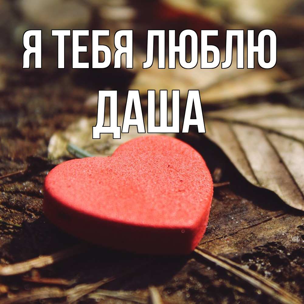 Открытка на каждый день с именем, Даша Я тебя люблю листья деревье 4 Прикольная открытка с пожеланием онлайн скачать бесплатно 