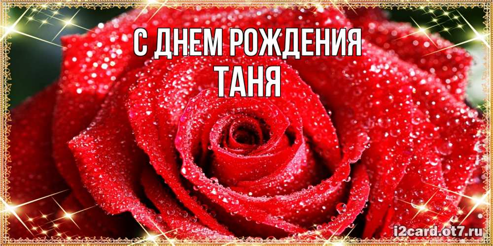 Открытка на каждый день с именем, Таня С днем рождения роса и роза. открытка с красивой розой Прикольная открытка с пожеланием онлайн скачать бесплатно 