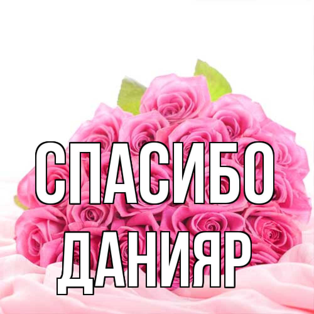 Открытка на каждый день с именем, Данияр Спасибо розовые розы с подписью Прикольная открытка с пожеланием онлайн скачать бесплатно 