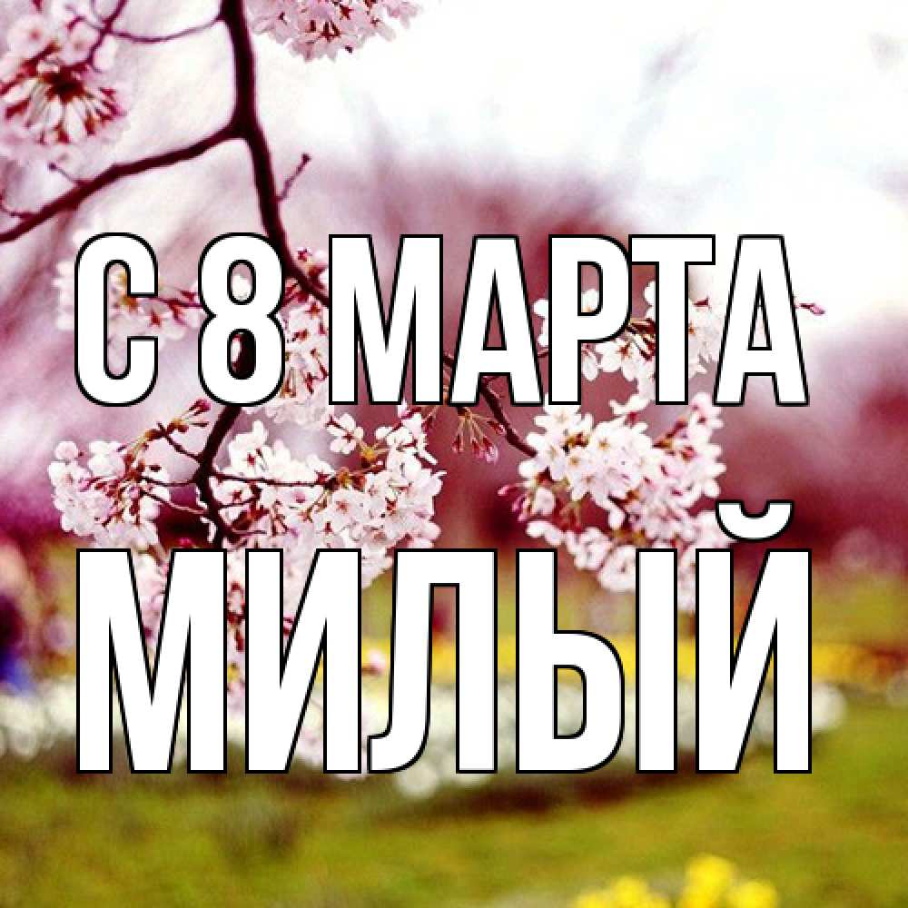 Открытка на каждый день с именем, Милый C 8 МАРТА яблоня Прикольная открытка с пожеланием онлайн скачать бесплатно 