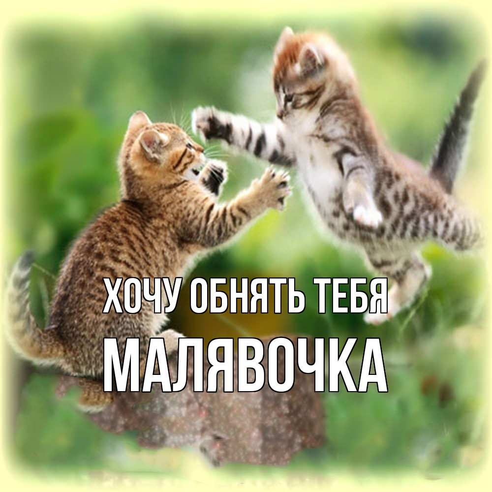 Открытка на каждый день с именем, малявочка Хочу обнять тебя игры котят Прикольная открытка с пожеланием онлайн скачать бесплатно 