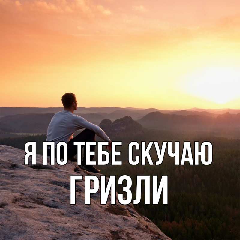 Картинка Я по тебе скучаю, Гризли
