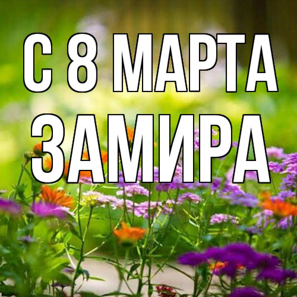 Открытка на каждый день с именем, Замира C 8 МАРТА цветы Прикольная открытка с пожеланием онлайн скачать бесплатно 