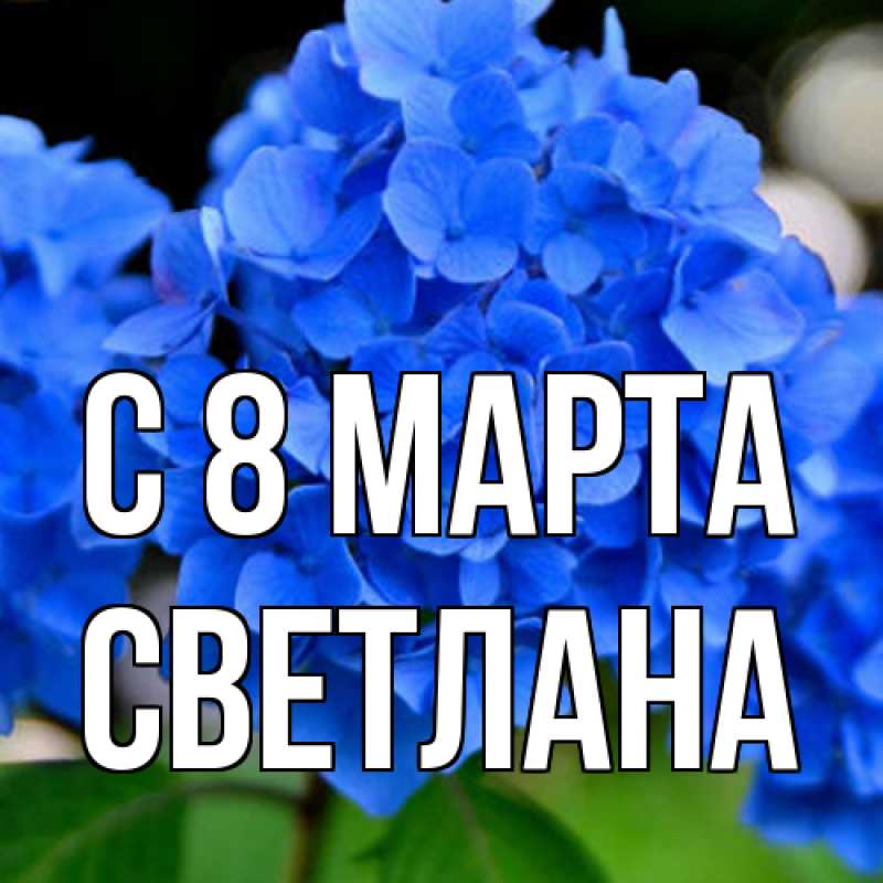 Картинка C 8 МАРТА, Светлана