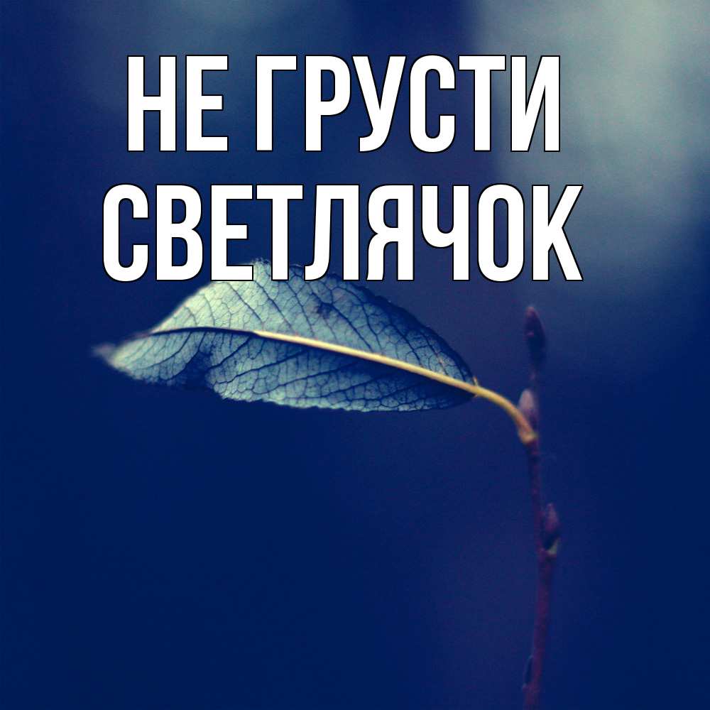 Открытка на каждый день с именем, Светлячок Не грусти растение Прикольная открытка с пожеланием онлайн скачать бесплатно 