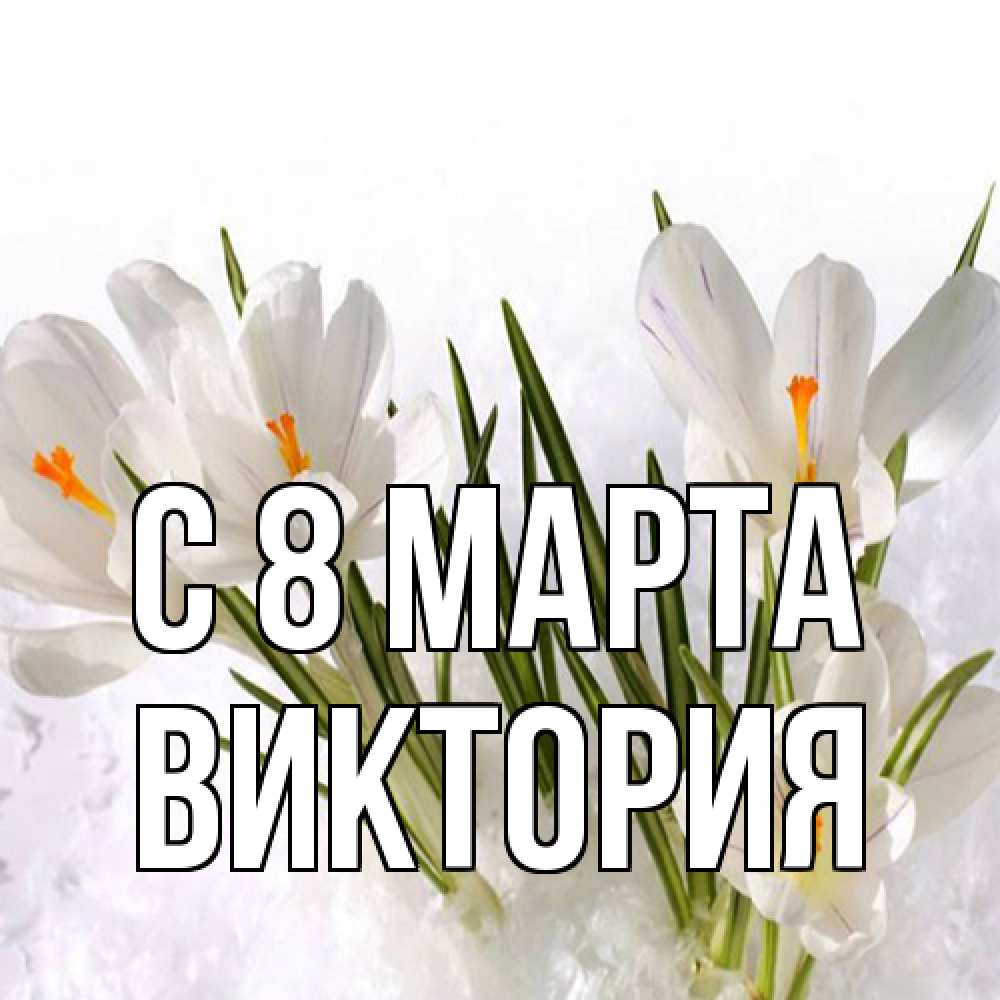 Открытка на каждый день с именем, Виктория C 8 МАРТА под снегом Прикольная открытка с пожеланием онлайн скачать бесплатно 