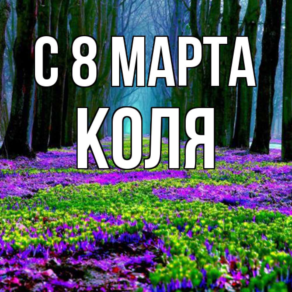 Открытка на каждый день с именем, Коля C 8 МАРТА фиолетовые цветы в лесу 1 Прикольная открытка с пожеланием онлайн скачать бесплатно 