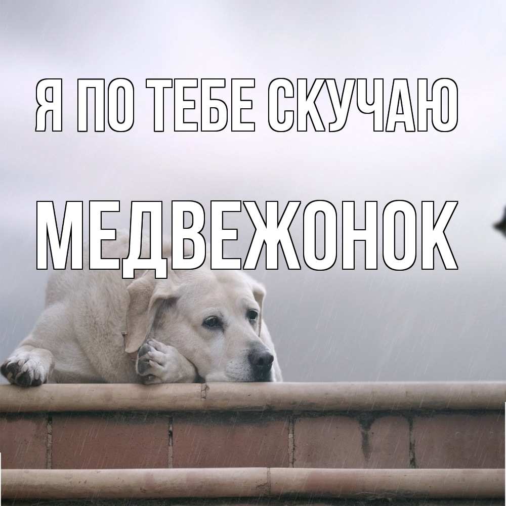 Открытка на каждый день с именем, медвежонок Я по тебе скучаю ждет Прикольная открытка с пожеланием онлайн скачать бесплатно 