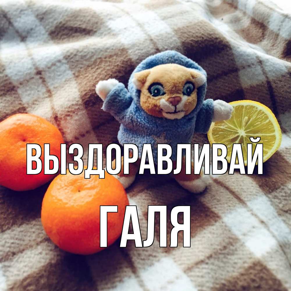 Открытка на каждый день с именем, Галя Выздоравливай вот тебе апельсинка и лимон Прикольная открытка с пожеланием онлайн скачать бесплатно 