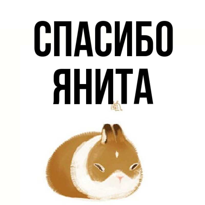 Картинка Спасибо, Янита