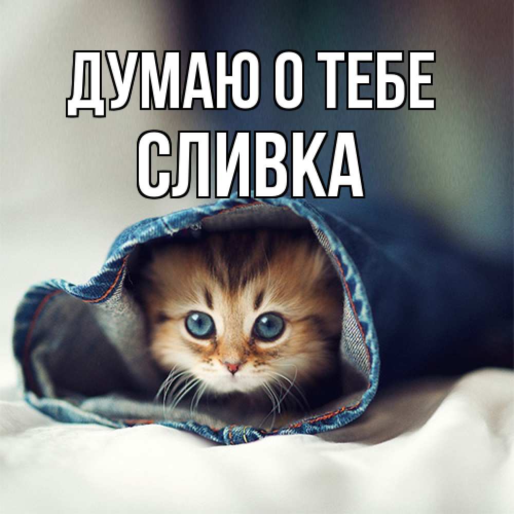 Открытка на каждый день с именем, Сливка Думаю о тебе мне без тебя плохо Прикольная открытка с пожеланием онлайн скачать бесплатно 