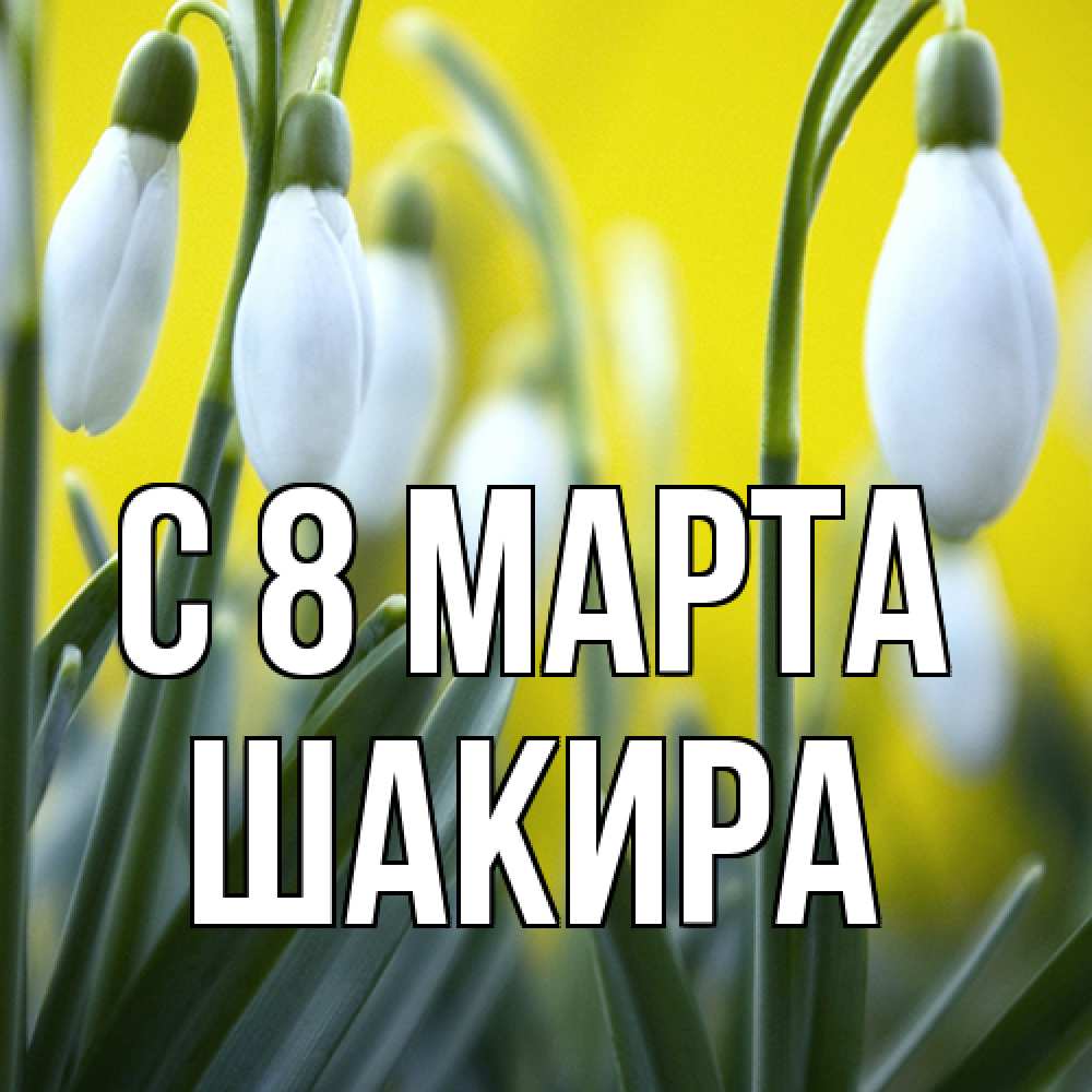 Открытка на каждый день с именем, Шакира C 8 МАРТА весенние цветы Прикольная открытка с пожеланием онлайн скачать бесплатно 