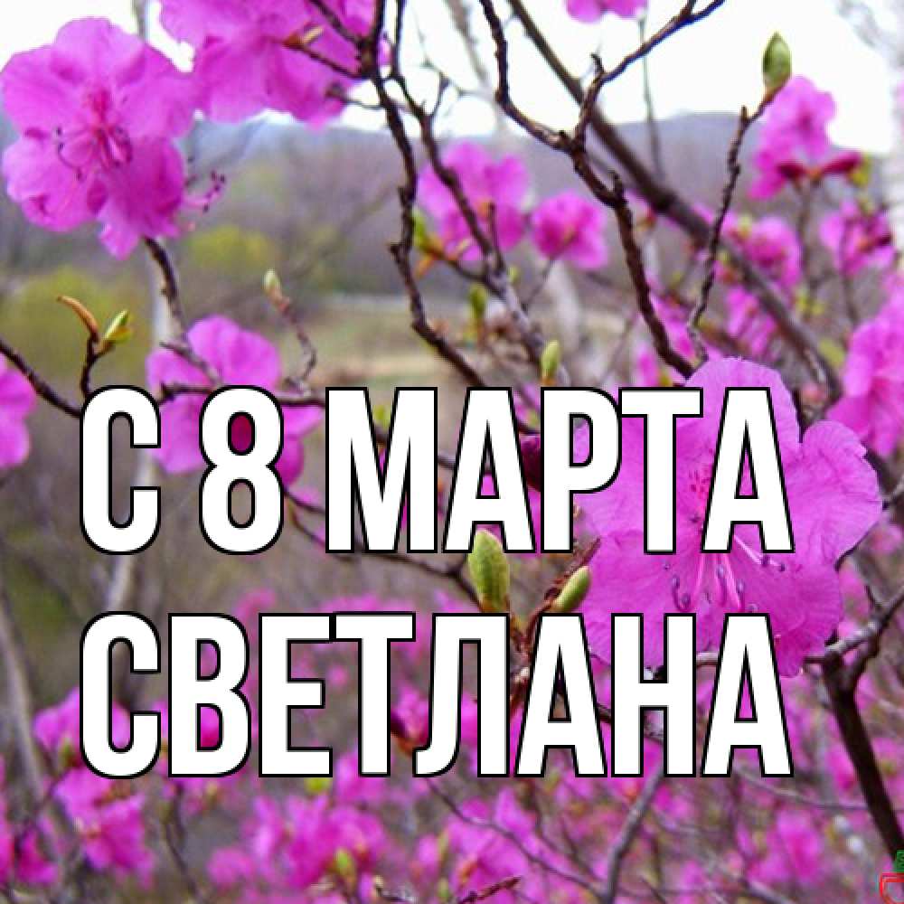 Открытка на каждый день с именем, Светлана C 8 МАРТА международный женский день Прикольная открытка с пожеланием онлайн скачать бесплатно 